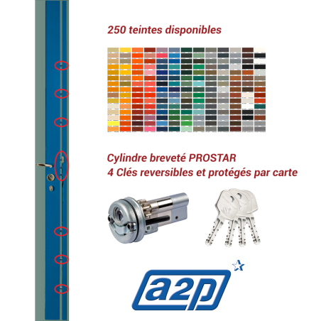 Serrure carénée en applique Securystar Queen Star A2P* 7 points