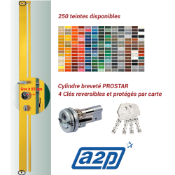 Serrure carénée en applique Securystar A2P* 3 points fournie/posée