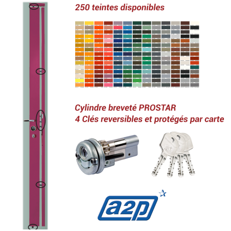 Serrure carénée en applique Securystar Queen Star A2P* 5 points Haut et Bas