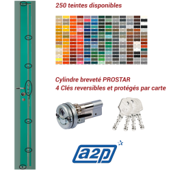 Serrure carénée en applique Securystar 7 points Haut et Bas A2P*