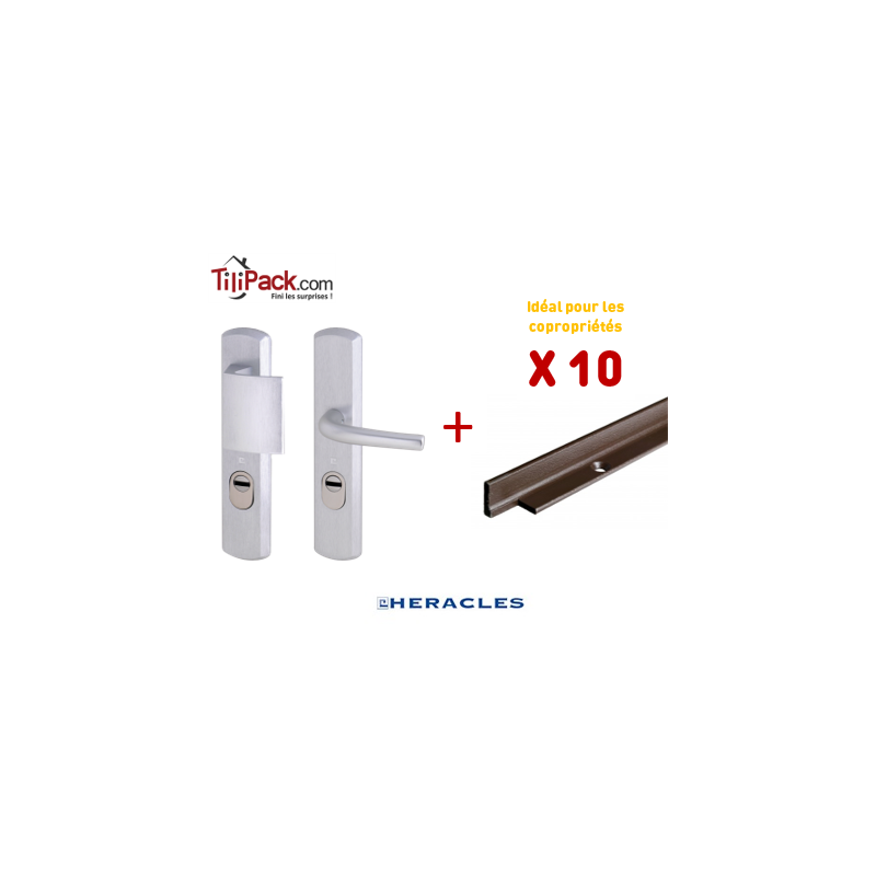 Pack COPRO - 10 packs sécurité : Poignée Blindée Héraclès - Argent + Cornières anti-pinces Pack COPRO - 10 packs sécurité : Poignée Blindée Héraclès - Argent + Cornières anti-pinces