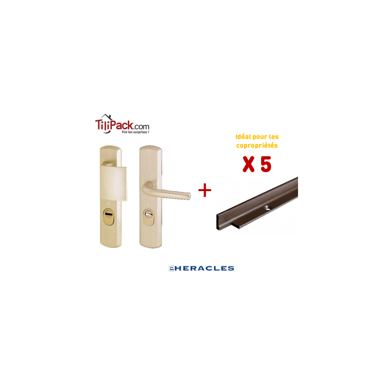 Pack COPRO - 5 packs sécurité : Poignée Blindée Héraclès - Champagne + Cornières anti-pinces