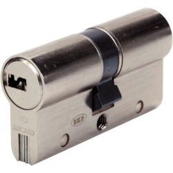 Cylindre de serrure double entrée SERIAL S - Profil Européen 30x30mm