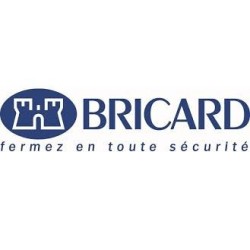 Verrou à bouton Bricard Super-Sureté