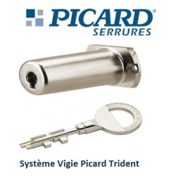 Serrure 3 points en applique Picard Trident VIGIE 8 fournie/posée