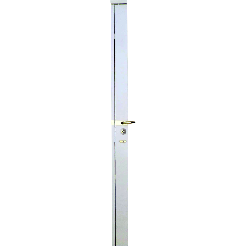 Serrure carénée en applique Fichet Fortissime A2P*** 5 points Serrure carénée en applique Fichet Fortissime A2P*** 5 points