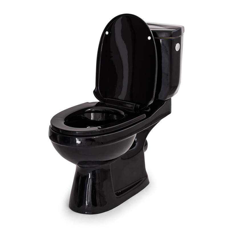 W.C. Bi-bloc Loobow - Black Bone W.C. Bi-bloc Loobow - Black Bone